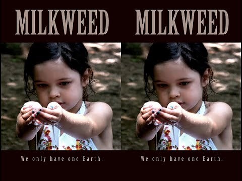 Milkweed (trailer)
