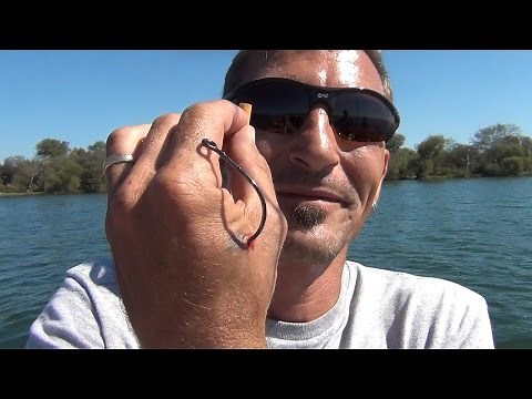 Extreme Hook Removal, How To Remove a 10/0 Circle Hook