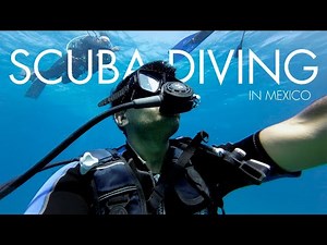 Mexican coral reefs diving | Scuba Diving in Cancun, Mexico