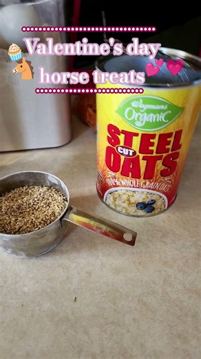 homemade horse treats #horse #equestrianjourney #horseenthusiast #equestrian