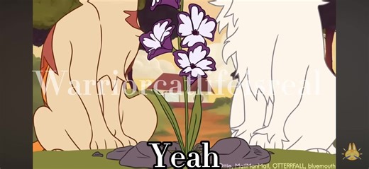 Brightheart and Cloudtail ♡ #fyp #cloudtail #brightheart #foryoupage #warriorcats