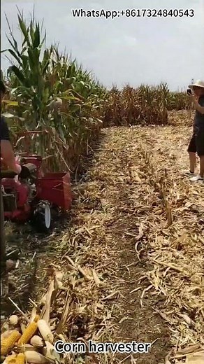 Efficient Corn Stalk Harvesting with Advanced Harvester Baler - Real-World Demonstration