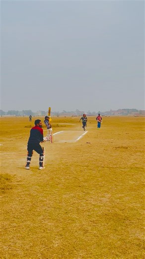 Shot of The Day || Cric Clips #cricket #cricketlover