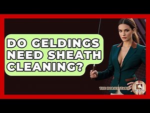 Do Geldings Need Sheath Cleaning? - The Horses Stable