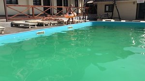A teenage girl frolic in the pool on inflatable circles.