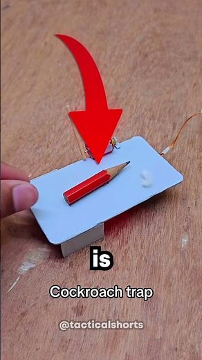 Sus Cockroach Trap 😱 #funny #cockroach #trap #viral