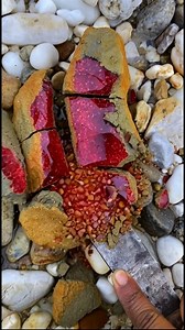 1.2M views · 7.9K reactions | the discovery of a stunning sparkling red emerald #gemstones #agate #diamond #jade #petrifiedwood #fyp #fypreels | Gemstone Explorers | Facebook