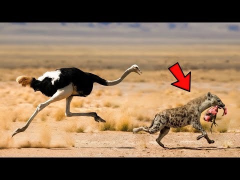 Incredible Moments Caught on Camera That Will Shock You 😱 | Real Life Footage