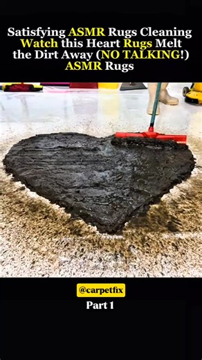 Expert Carpet Cleaning Tips for Your Home