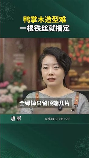 Master the Duck Foot Shape in Wood with a Single Iron Tool