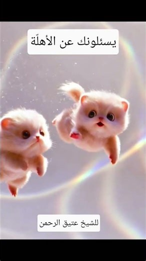 The recitation of the Holy Quran | by Sheikh Atiq ur Rehman | Fayooz-Ul-Quran Academy