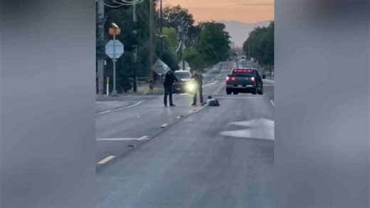 Canyon County Sheriff Deputies arrest man after roadway disturbance