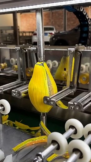 automatic fruit peeling machine. | Media 5