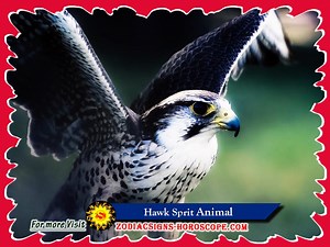 Hawk Spirit Animal: Meaning, Symbolism and Dreams of Hawk Totem