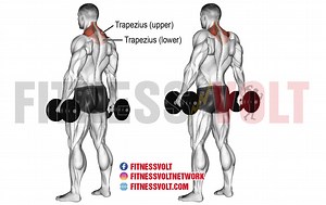 Dumbbell Shrug: Master Your Trapezius for Stronger Shoulders – Fitness Volt