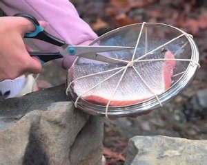 Clever Camping Hacks for Every Explorer