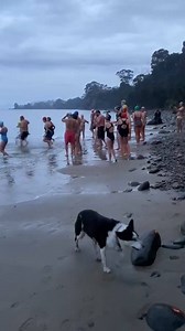 Brrrr! ❄️ With the Dark Mofo winter solstice swim not going ahead this year due to coronavirus, some brave swimmers decided to create their own version this morning down at Grange Beach in Taroona. The group even had drummers play as they ran in, and fire sticks! June 21 is the winter solstice, making it the shortest day of the year in the southern hemisphere. 📹: Lucy MacDonald for ABC Hobart | ABC Hobart
