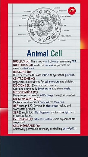 Animal Cell | Structure & Functions Explained | #animalcell