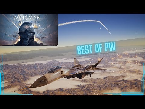 Project Wingman: Best of Campaign + Conquest