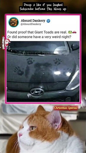 Proof That Giant Toads Exist! 😱 Meme #AbsurdDankery #Memes #Funny #ComedyShorts