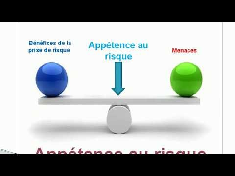 Qu"est-ce-qu'est l'Appétence au Risque "Risk Appetite" ?