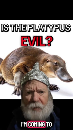 IS THE PLATYPUS EVIL? #psa #funny #information #jokes #science | platypus