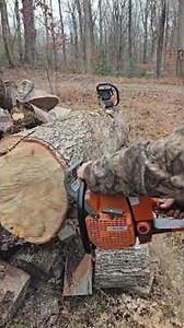 Neotec NS 892 chainsaw is a beast. #chainsaw
