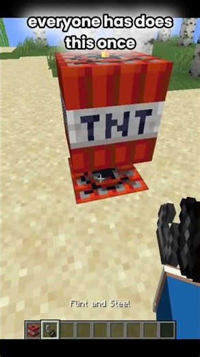 Everyone has does this once #minecraft #tnt #bestminecraftclips