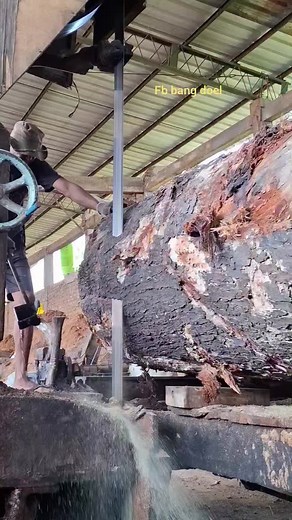 Milling a Big Pin Oak: Behind the Scenes at the Sawmill