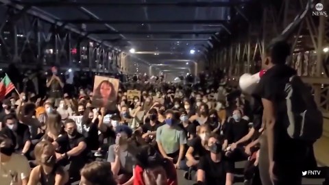 Protesters march on Brooklyn Bridge