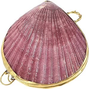 LIFKOME Shell Jewelry Holder Trinket Storage Box Compact Natural Seashell Case for Jewelry Bracelets Earrings Small Accessories Organizer