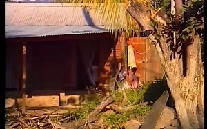 法语经典圣诞歌曲- La Compagnie Créole Bon Baiser De Fort De France_480p