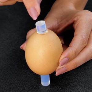 Amazing egg diorama with epoxy resin | 5-Minute Crafts Like