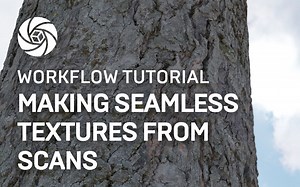 RealityCapture 教程：通过扫描制作无缝纹理