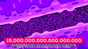 Tiny Bombs in your Blood - The Complement System