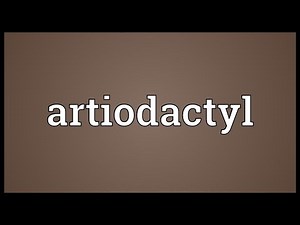 Artiodactyl Meaning