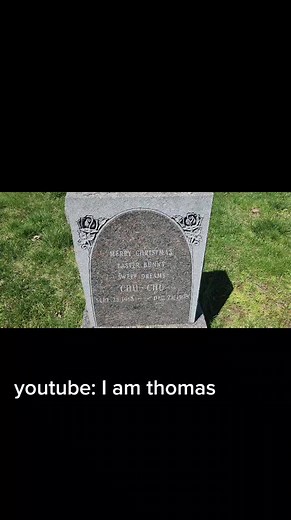 the grave of Michelle thomas aka Steve iurkel girlfriend #dididothat #famousgravesites #gravesites #urkel #fyp #sitcom #familymatters