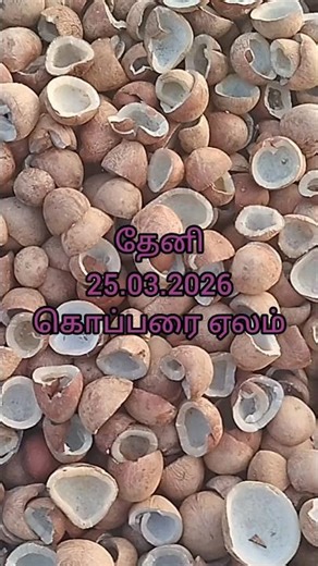 தேனி கொப்பரை ஏலம் #shorts #thenicoprarate #sukkuvaadanpatti #farmers
