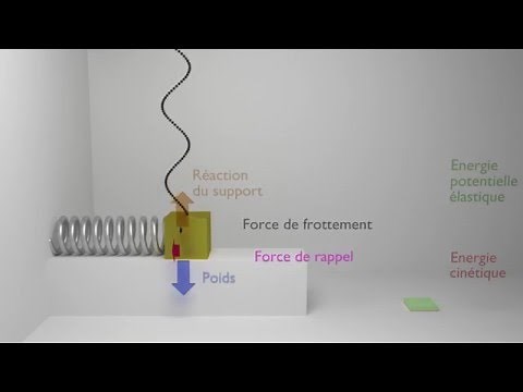Animation d'un oscillateur harmonique amorti