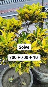 Try To Write | M Mathematics