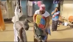 33K views · 854 reactions | My daughter finally finish my Loto work  | Lil Win | Facebook