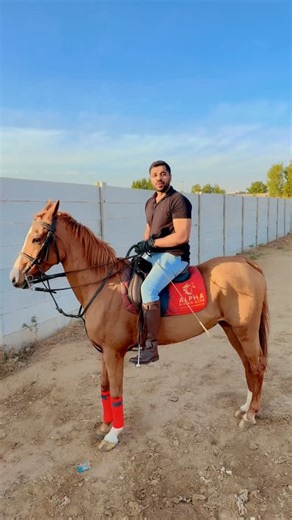 Alpha Riding Club on Instagram: "Master the basics, enjoy the ride 🐎"