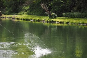 Chalk Springs Fishery, West Sussex | Fishery Guide