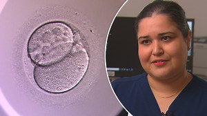 AI can pick embryos for IVF faster than scientists, study finds