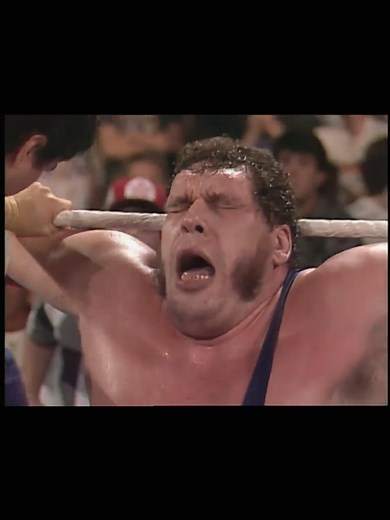 Ultimate Warrior vs Andre the Giant: Epic Match Highlights