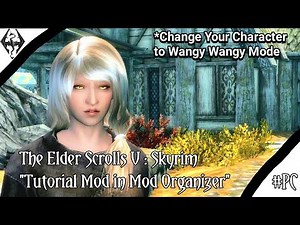 How to use Mod Organizer for Skyrim LE untuk mod character ? Tutor By DdM