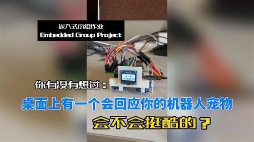 《谢谢你，没有把我当作代码》——嵌入式桌面宠物机器人