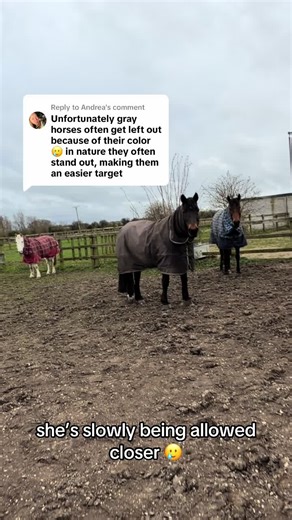 Understanding Group Dynamics in Social Interactions