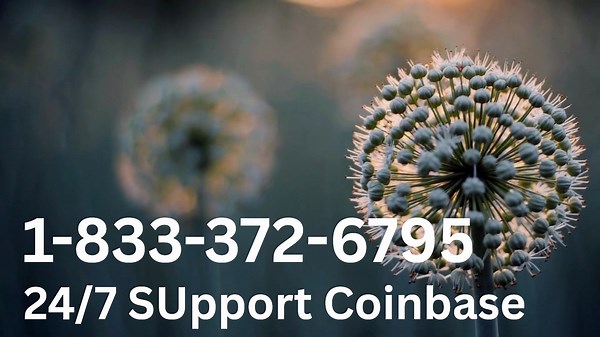 COINBASE® 24/7 Customer Service | A Complete Step-by-Step Guide to Get Help Anytime