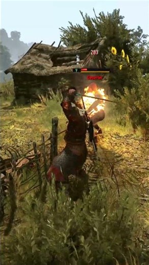 I Completely Missed This Bandit Camp - The Witcher 3